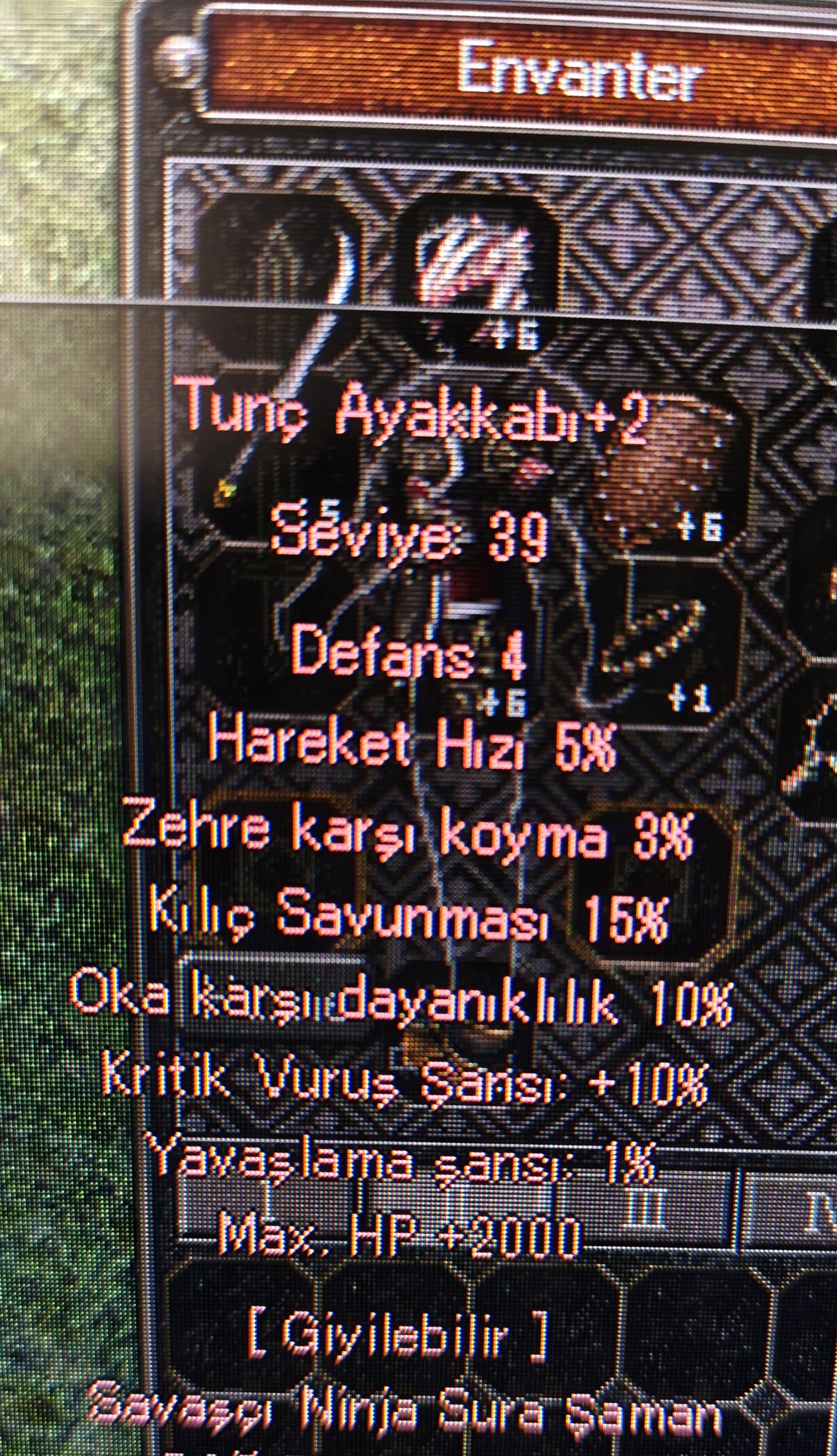 15kılıc 10kritik 2000hp 10ok tunç ayak