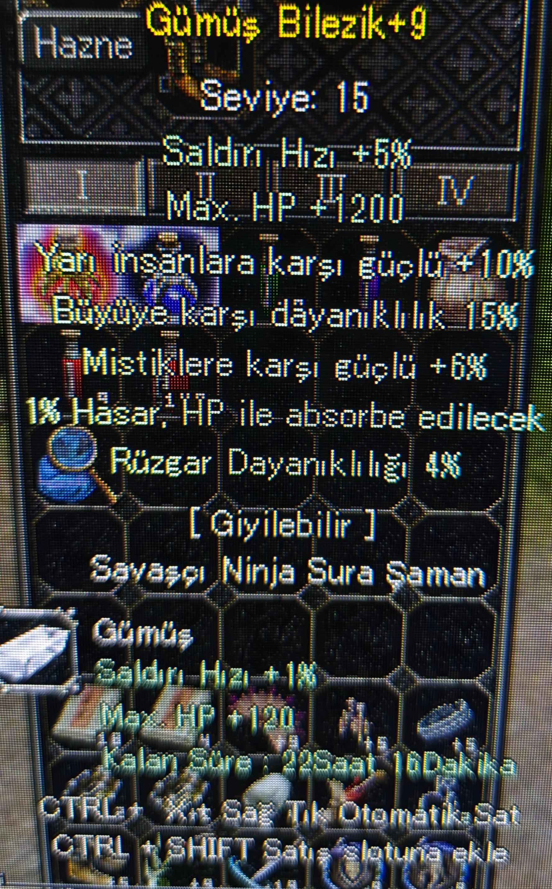 +9 gümüş bilezik wslik