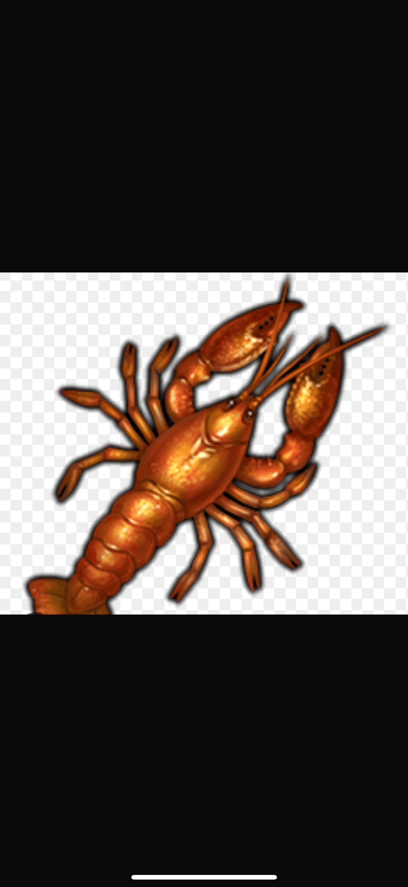 2000 ADET YABBİE YENGECİ SATILIKTIR