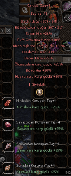 22 Becerili +9 Orkide Çan 4 Taşlı WS'lik