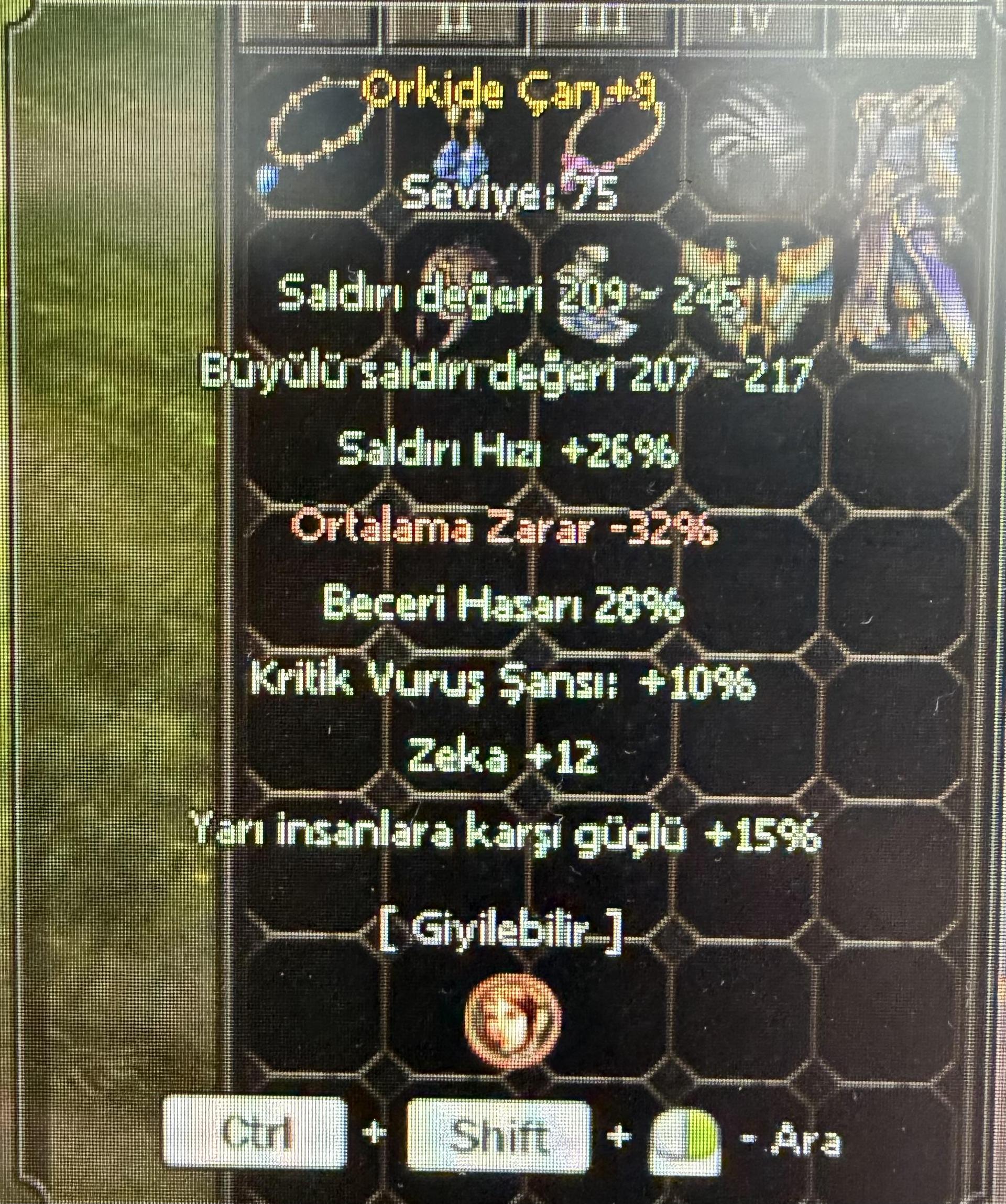 28 BEC ORKIDE FULL EFSUN