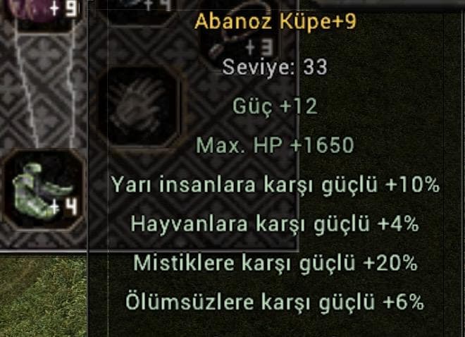 +9 10YARI ABO