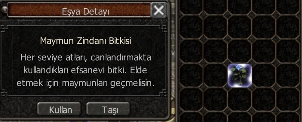 AT CANLANDIRMAK İÇİN MAYMUN ZİNDANI BİTKİSİ