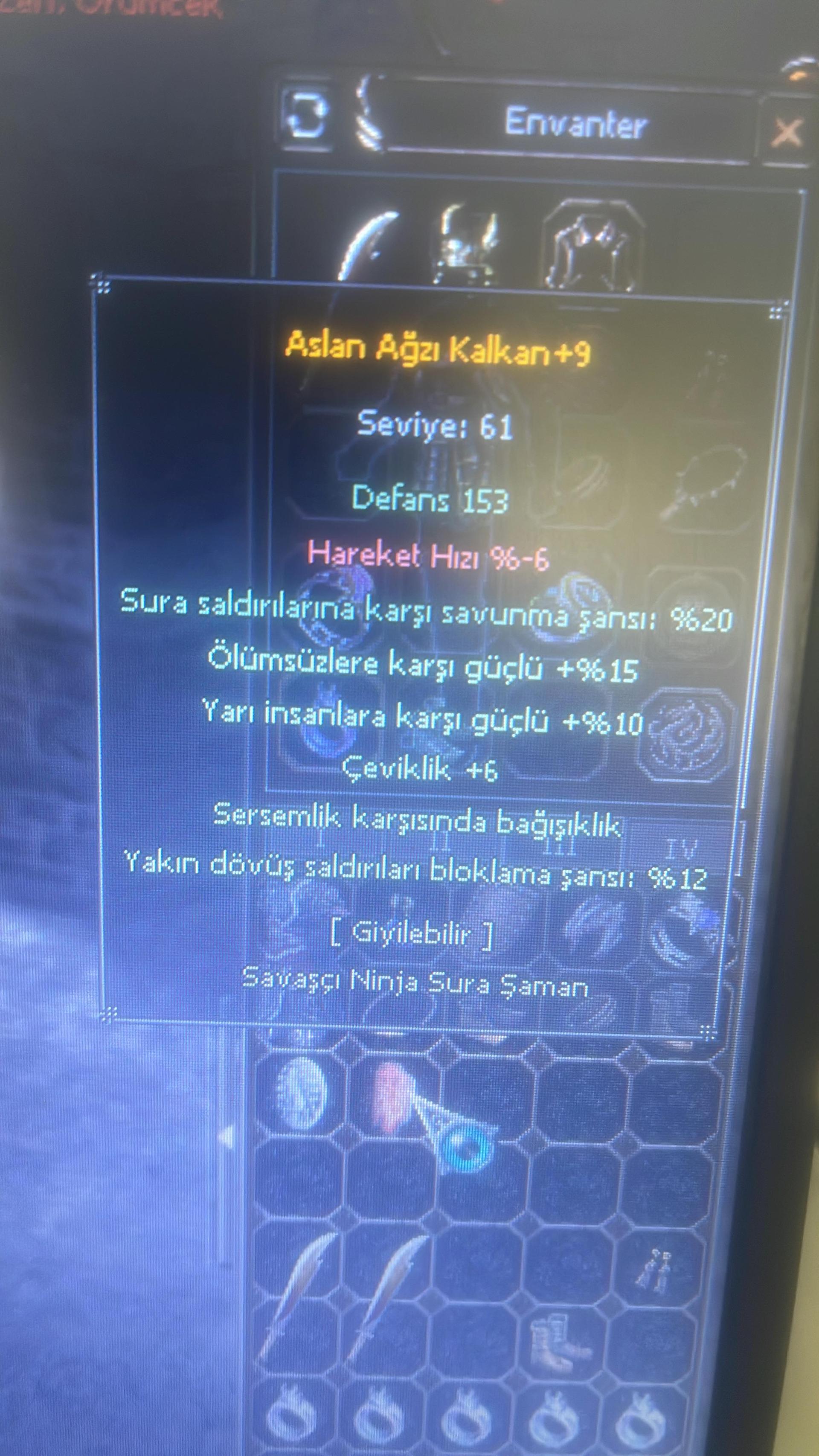 +9 ASLAN AĞZI