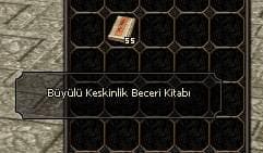 55 BÜYÜLÜ KESKİNLİK BECERİ KİTABI