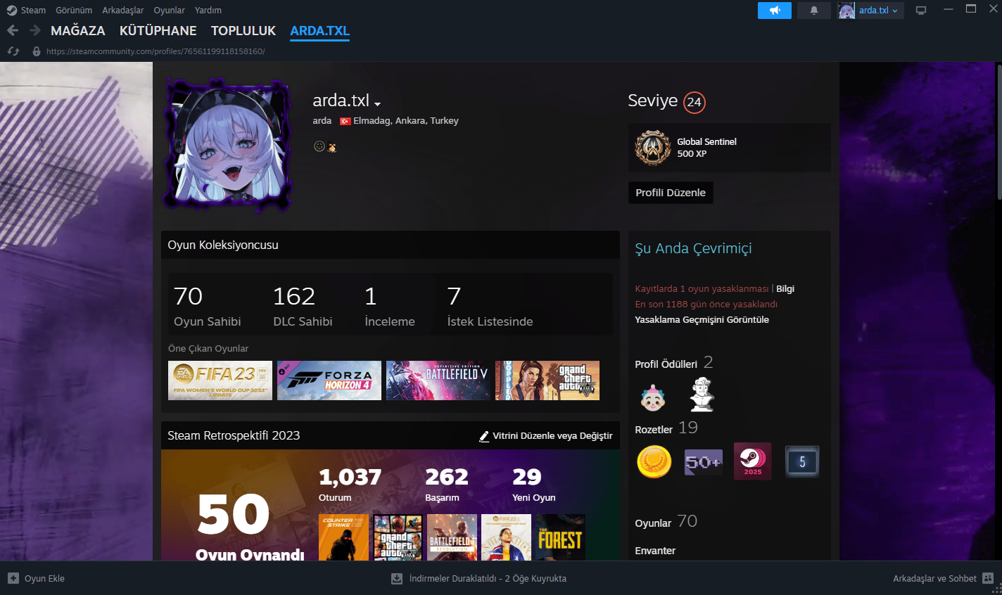 SATILIK ÇOK OYUNLU DEĞERLİ STEAM HESABI