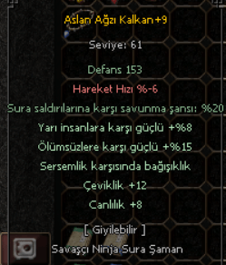 +9 ASLAN AGZI NİNJALIK