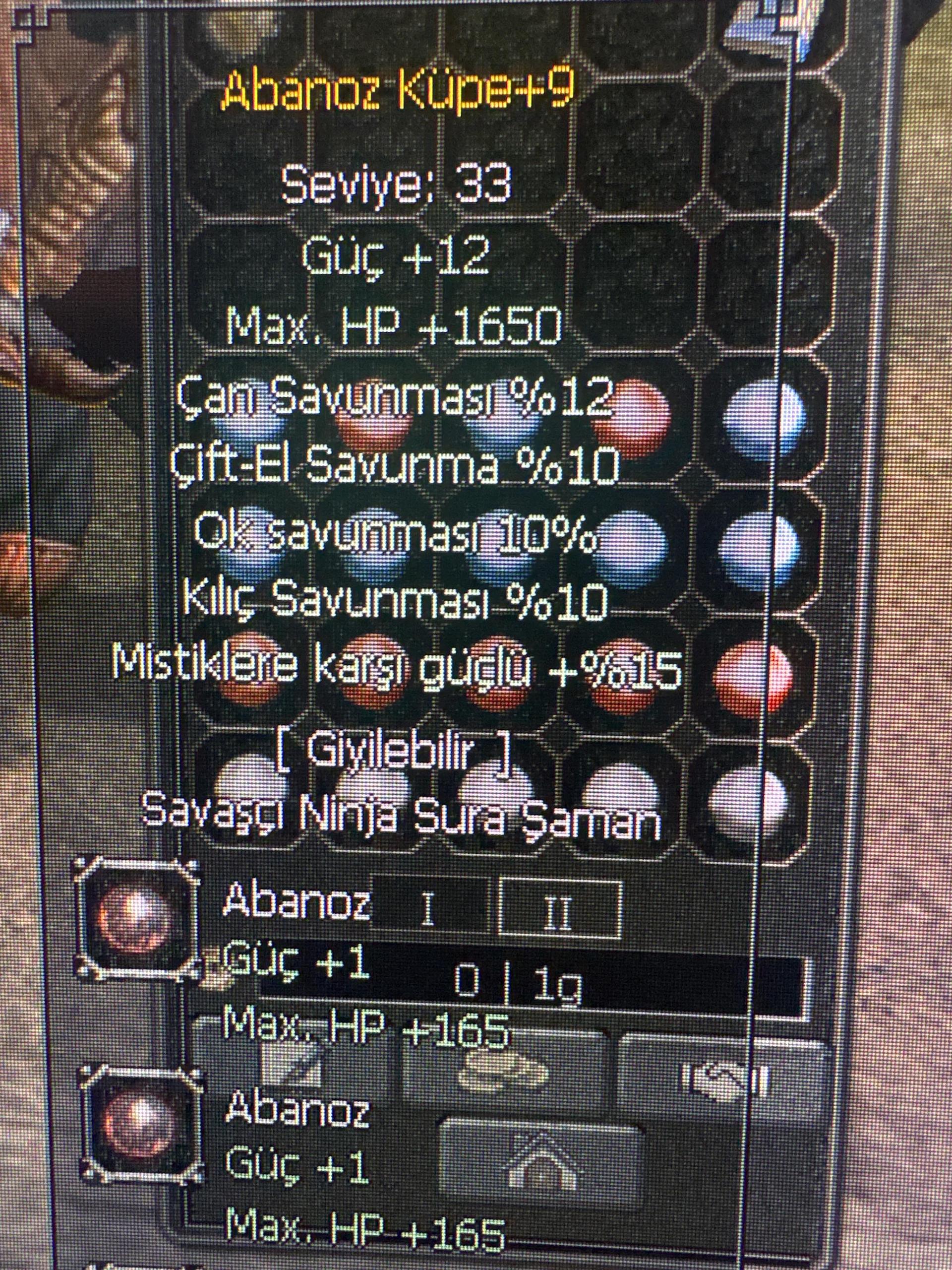 +9 Abanoz
