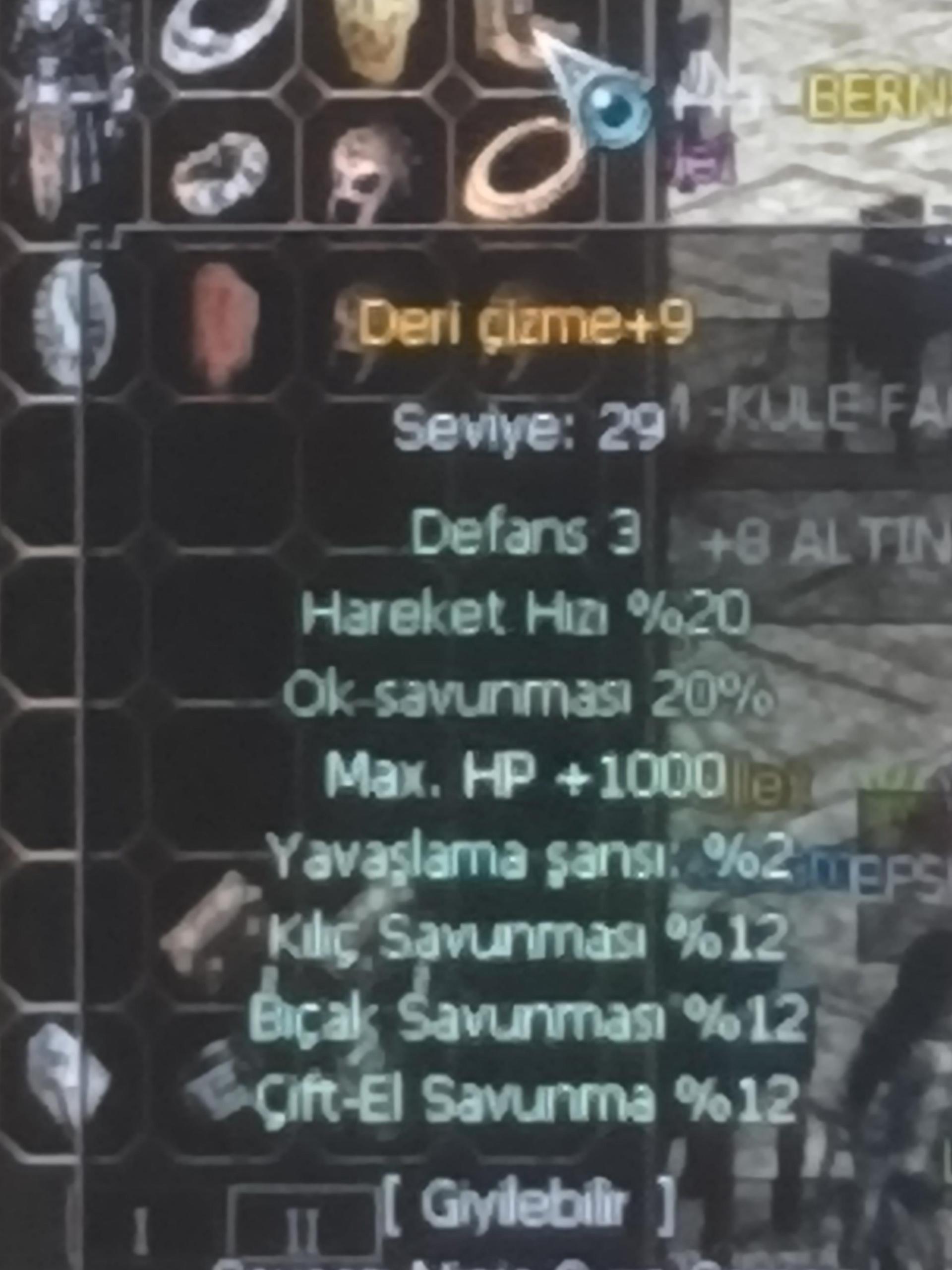 Elit Deri Çizme