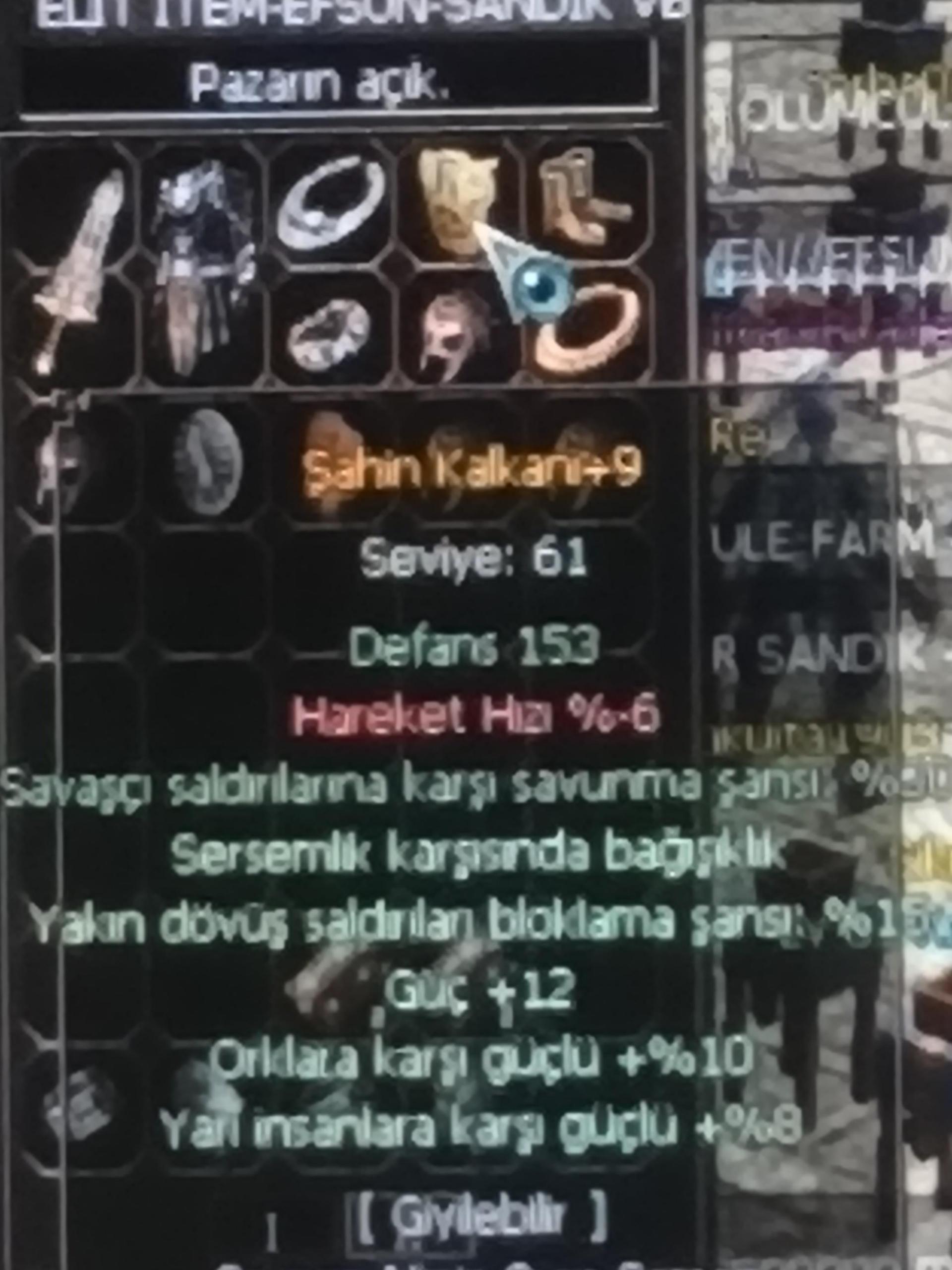 Elit Şahin Kalkan