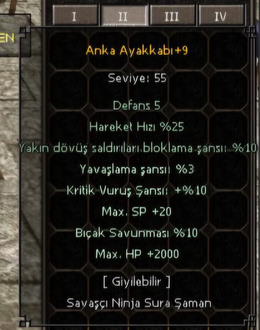 +9 ANKA AYAKKABI