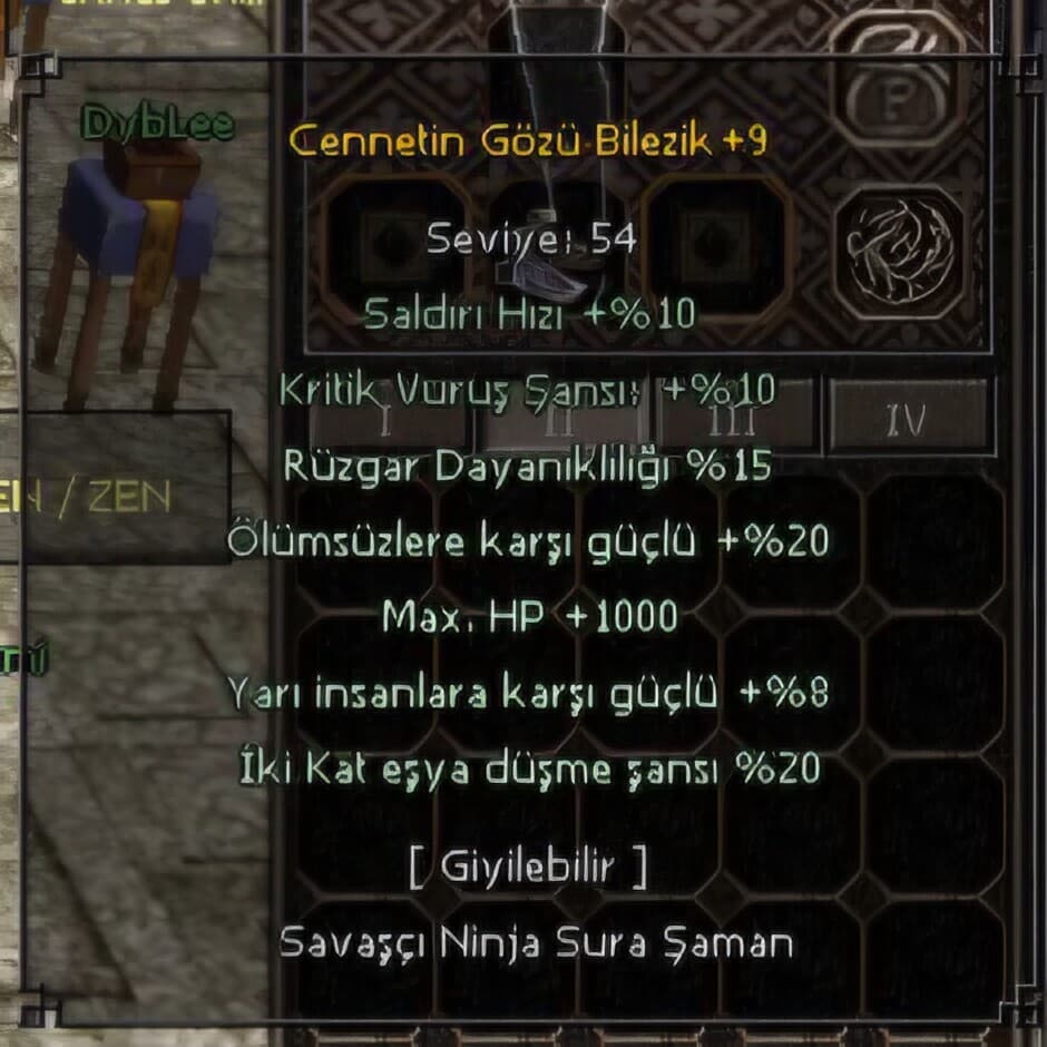 +9 CENNET GÖZÜ BİLEZİK