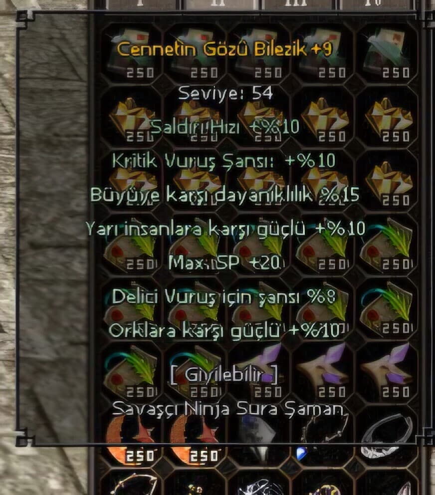 +9 CENNET GÖZÜ BİLEZİK