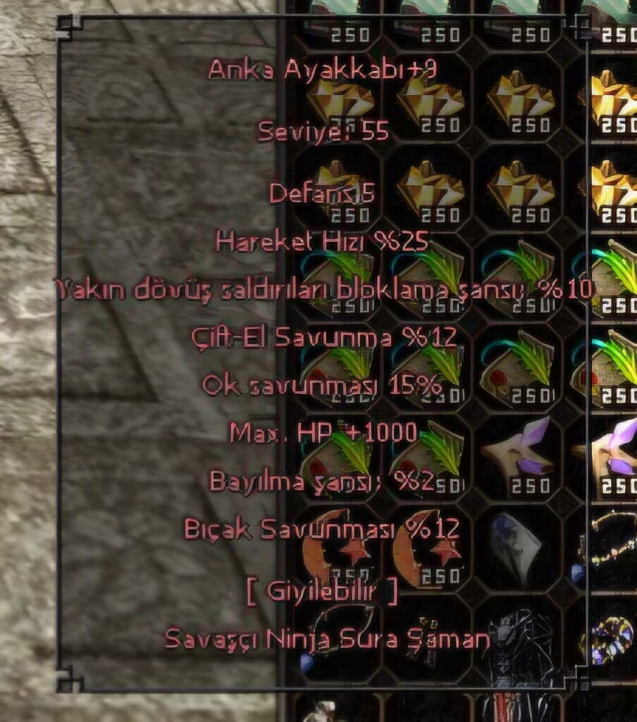 +9 ANKA AYAKKABI