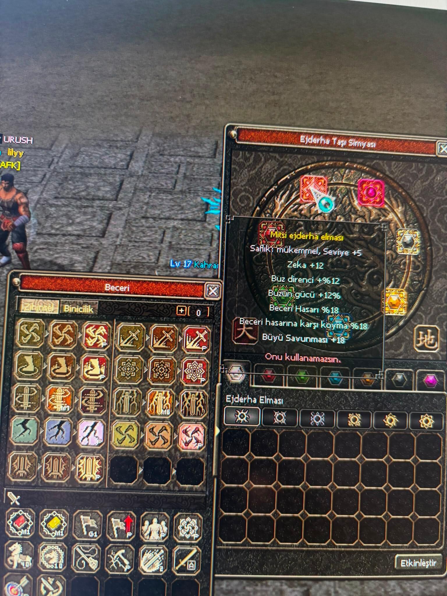 ŞAMP.17 LEVEL ZİHİNSEL SİMYALI FUL P