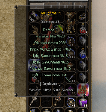 +9 deri çizme wslik