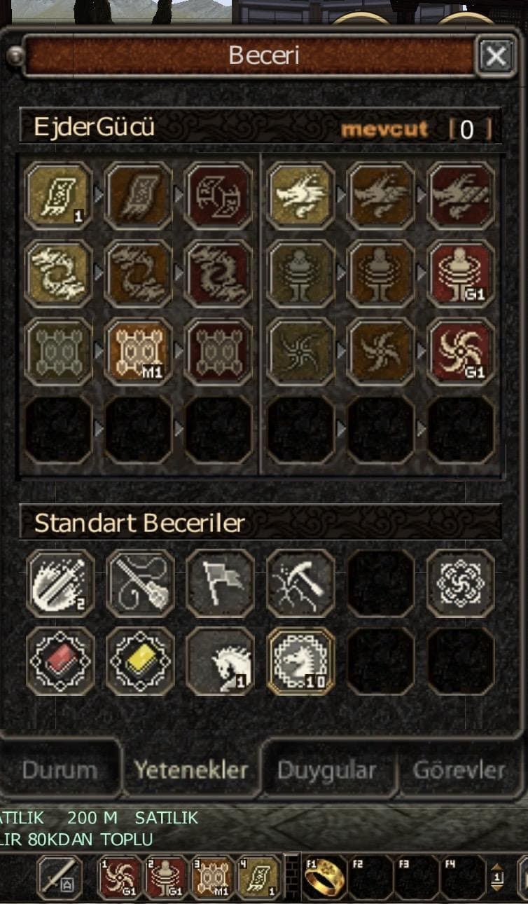 50 LVL KRİTİKÇİ ŞAMAN 2 SKİL G