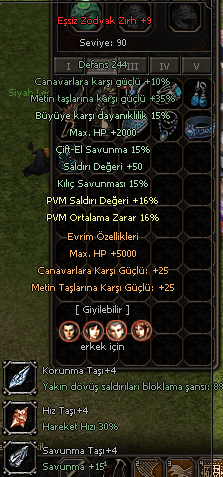 Eşsiz Zodyak Zırh +9