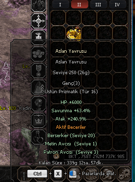 +240.9 str- berzerker seviye 20 aslan satılır