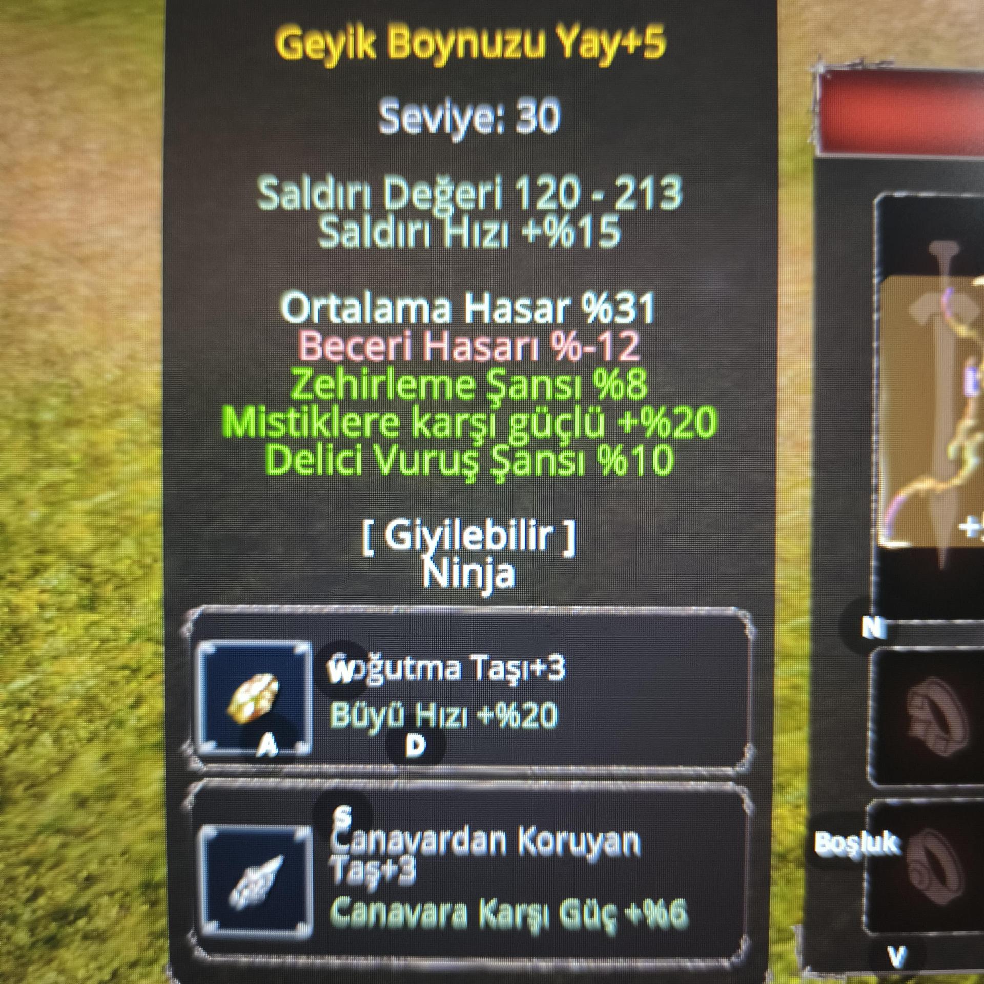 gby 1000