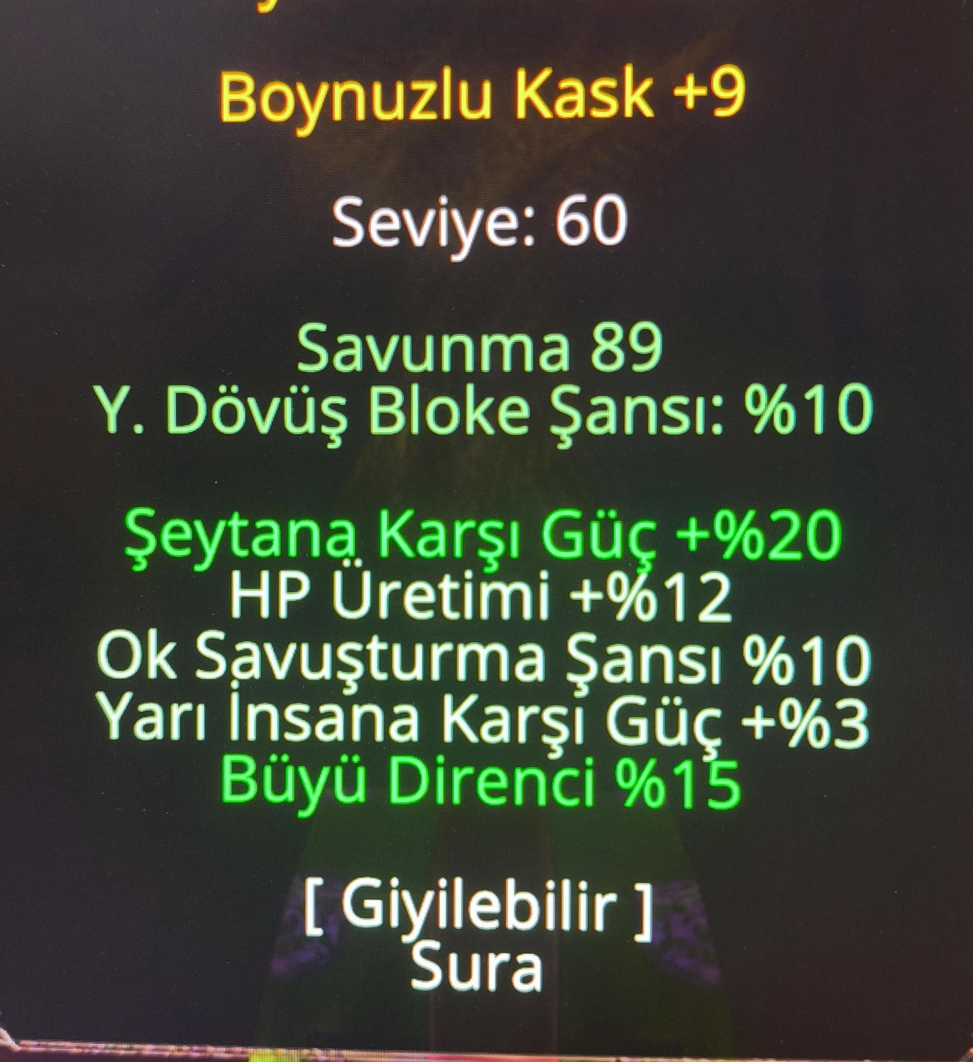 +9 BOYNUZLU KASK