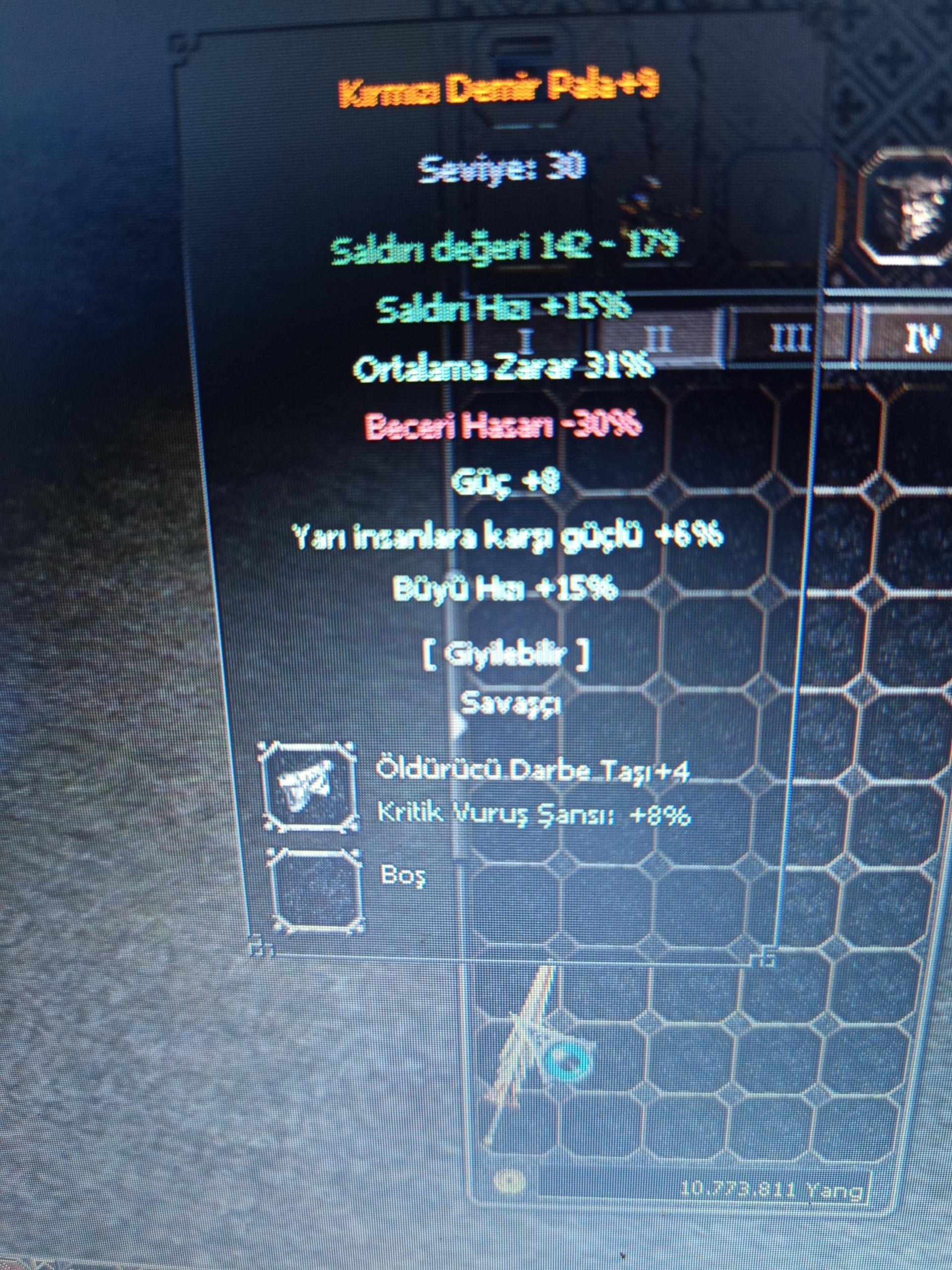 31 LWL VADİ CARİ HAVA P AT 30 +9 KDP Lİ