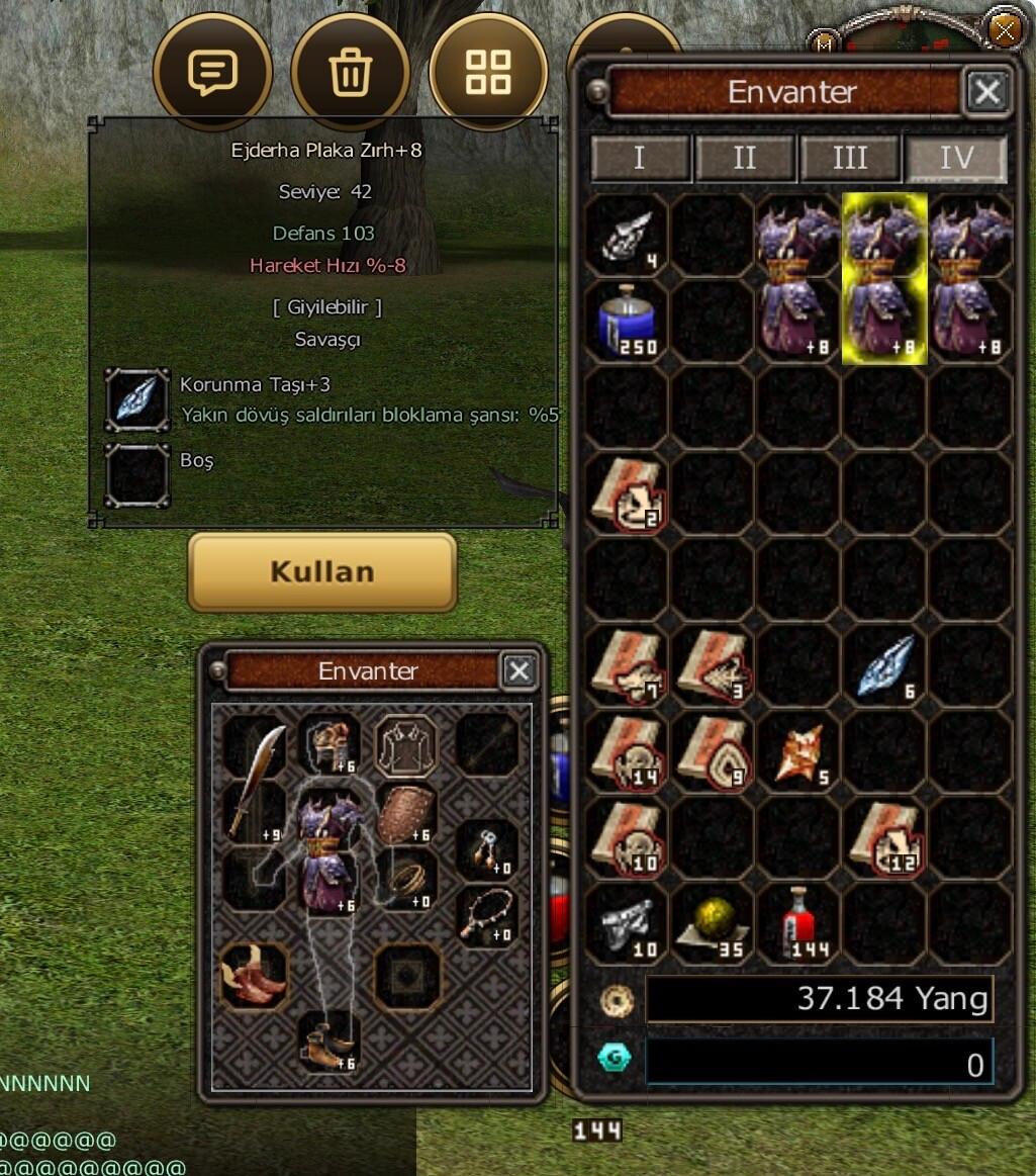 +8 Ejder plaka