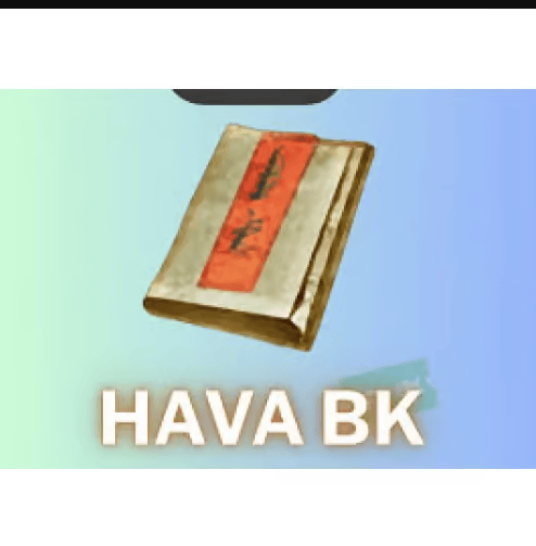 23 TANE HAVA BK 100 TL