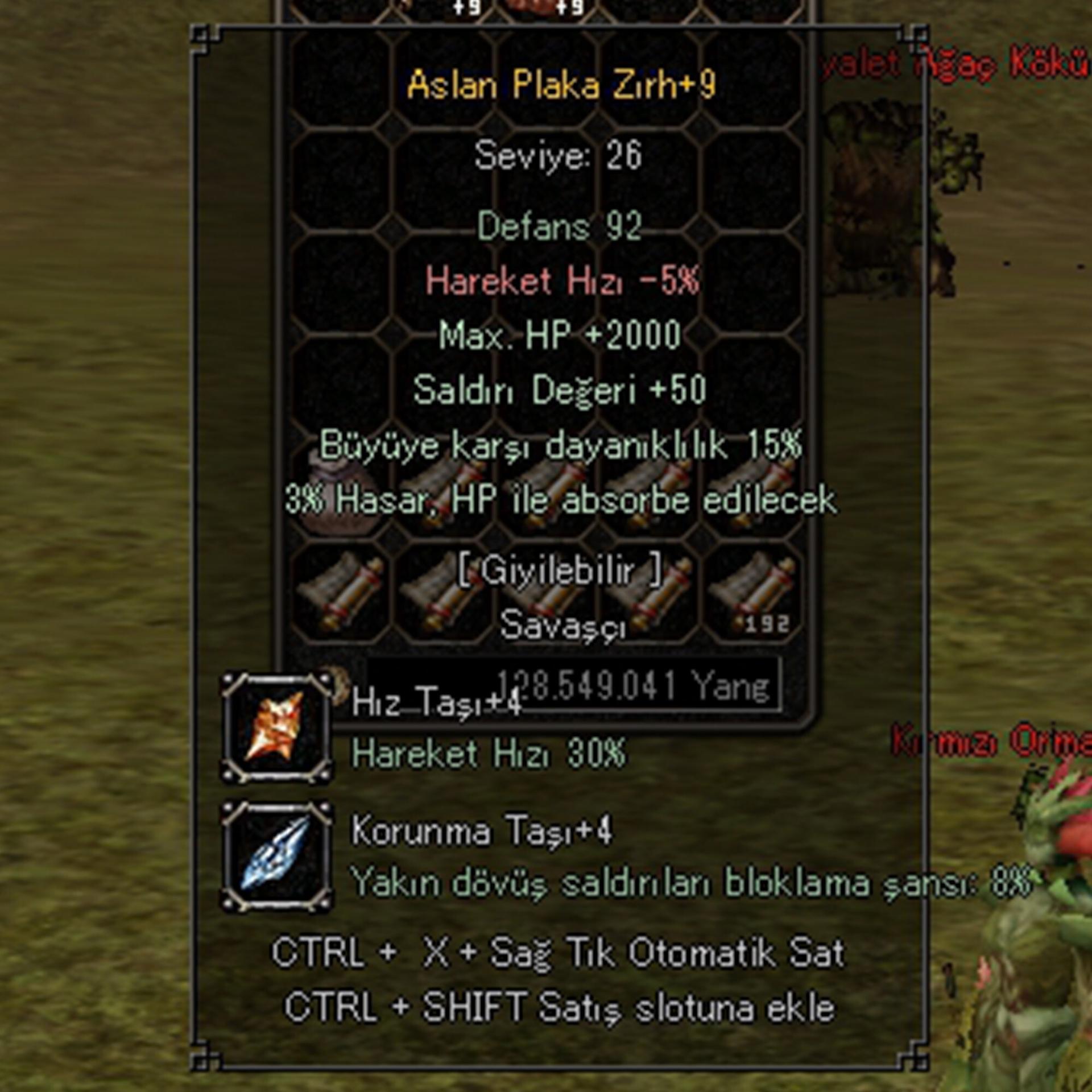 +9 ASLAN PLAKA ZIRH