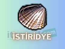 72 ADET İSTİRİDYE