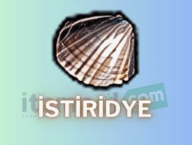 İSİTİDYE SATILIR @SİPARİŞ İÇİN PM AT