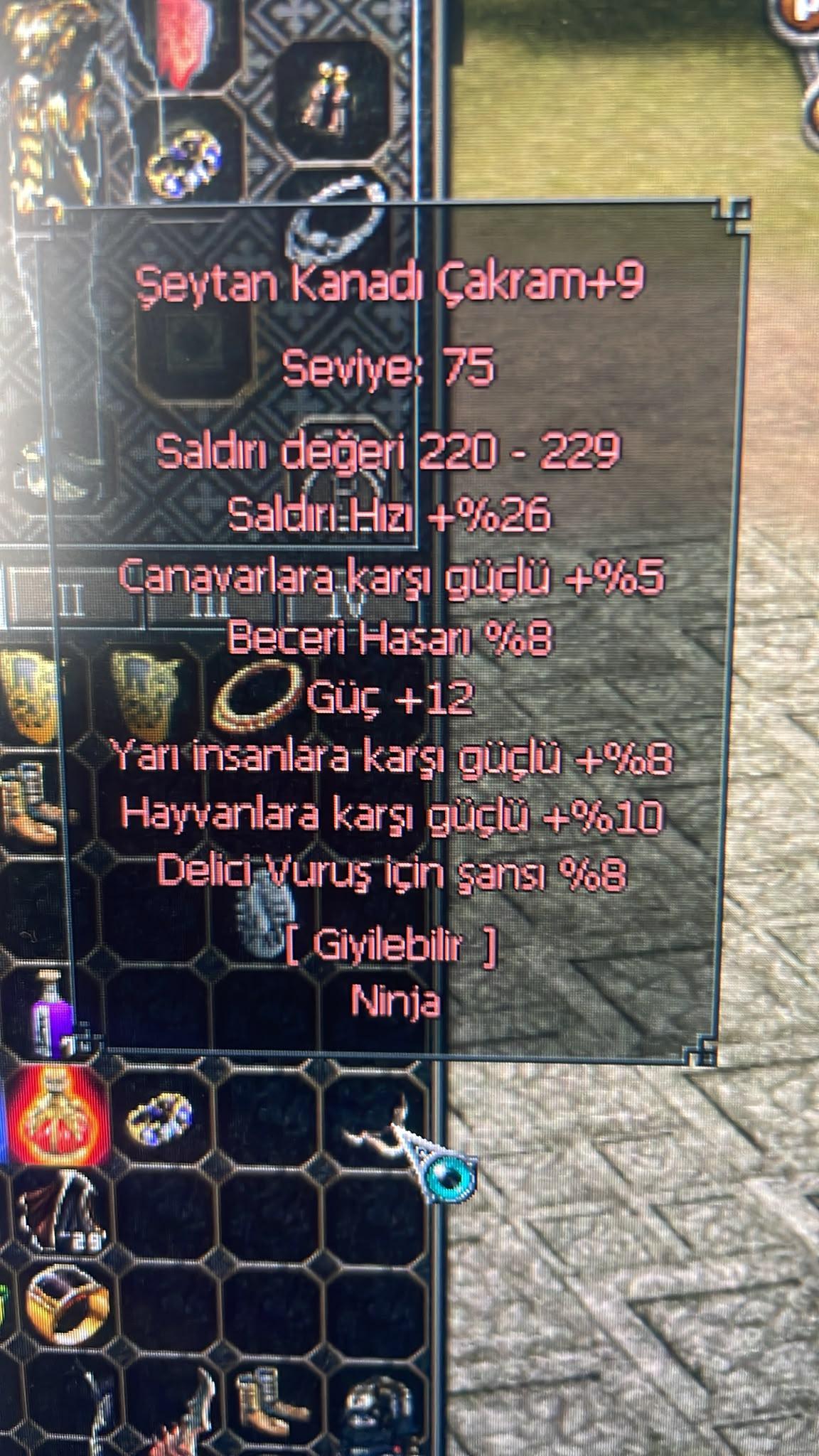 ÇAKRAM 9