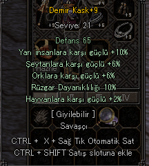 +9 DEMİR KASK 10 YARILI