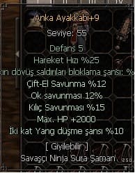 +9 ANKA AYAKABI