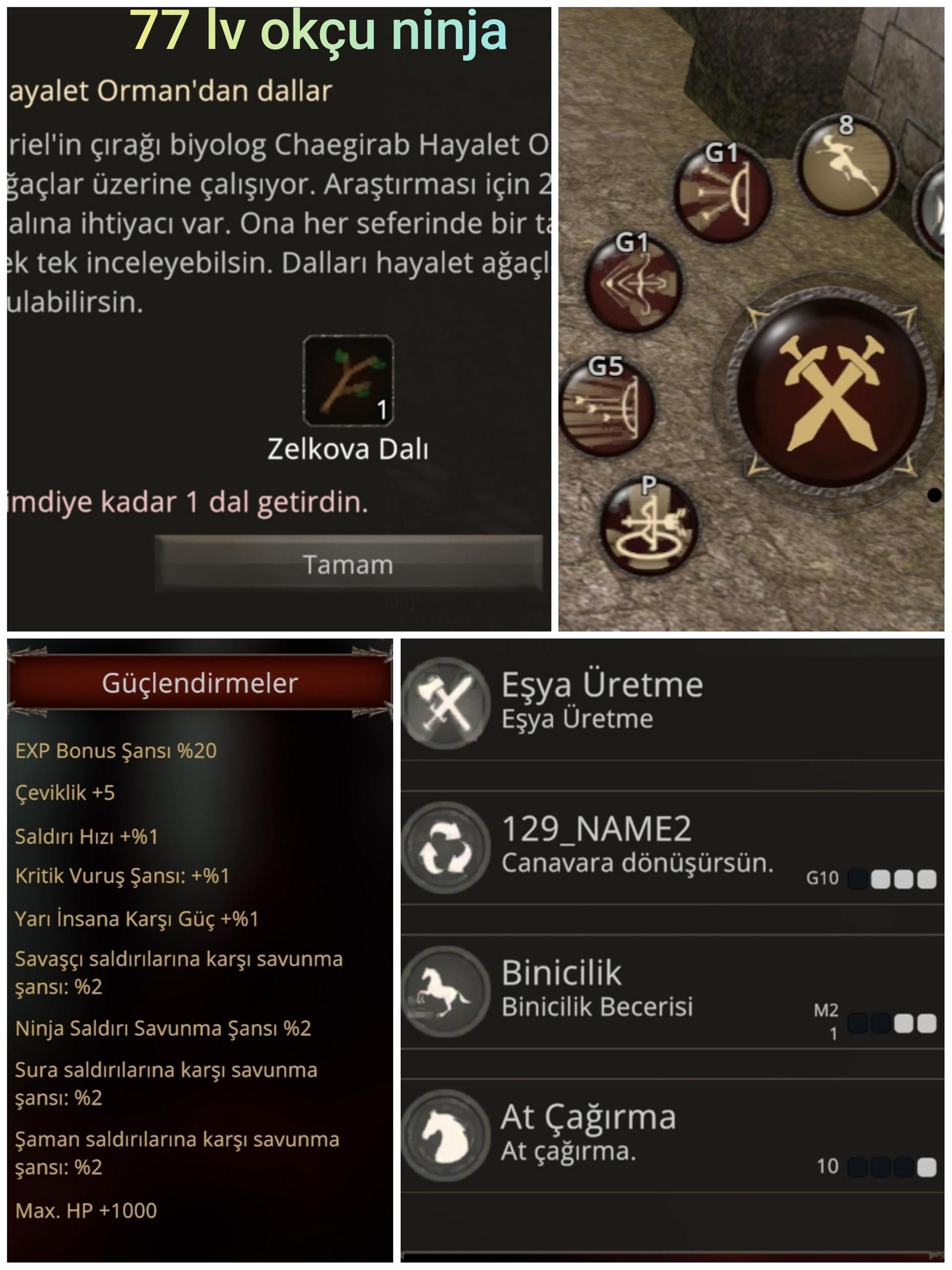 77 LVL OKÇU NİNJA