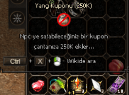 YANG KUPONU 250K 10 ADET SATILIR
