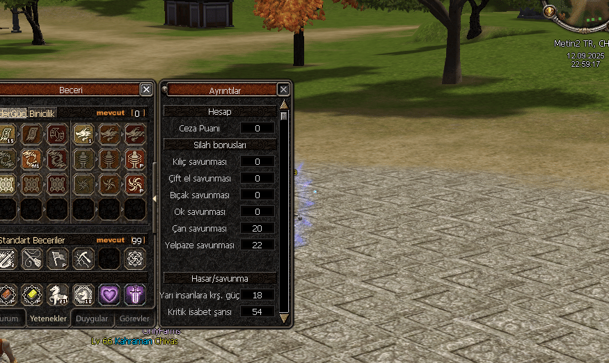 65 LVL ŞAMAN 2P LİDERLİK P