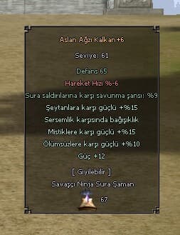 69 LVL BEDENSEL HAVA P  AT 30  BİYO BİTİK