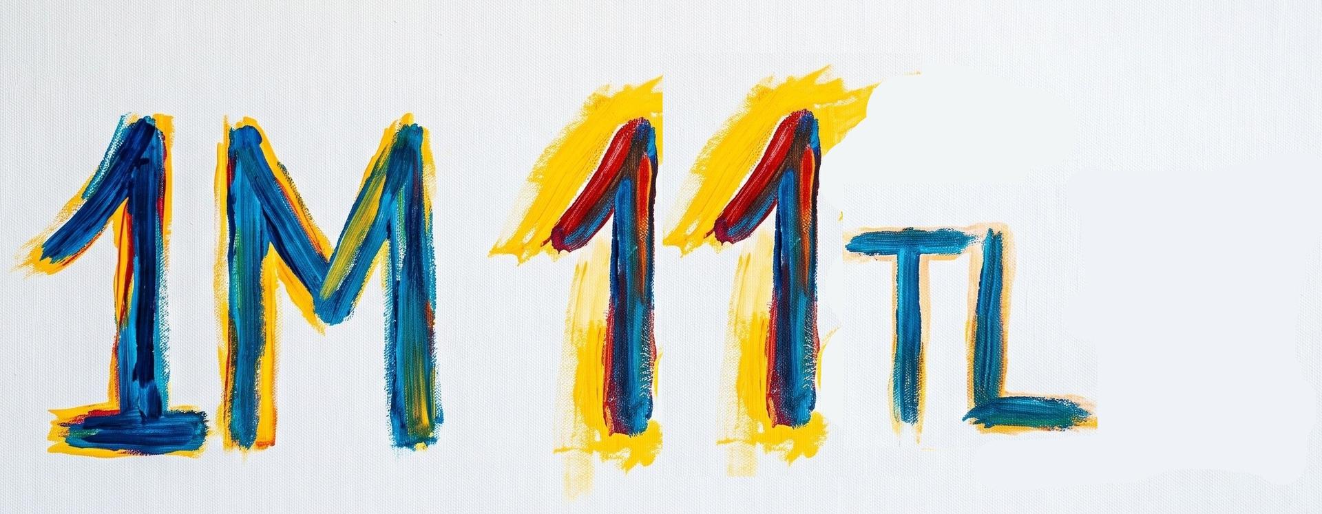 1M 11 TL 334M VAR