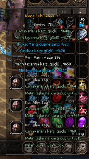 MEGA RUH KEMER +9
