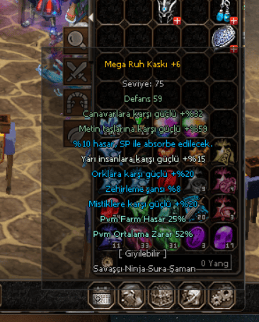 MEGA RUH KASKI