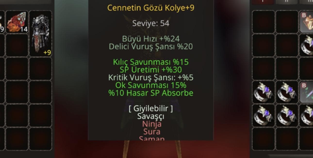 9 cennetin gözü kolye