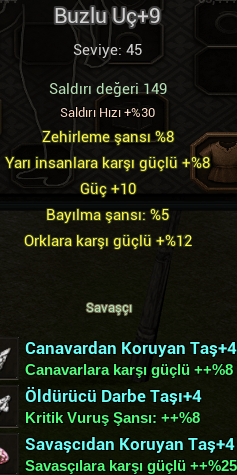 +9 BUZLU UÇ + 4 TAŞLI YARILI