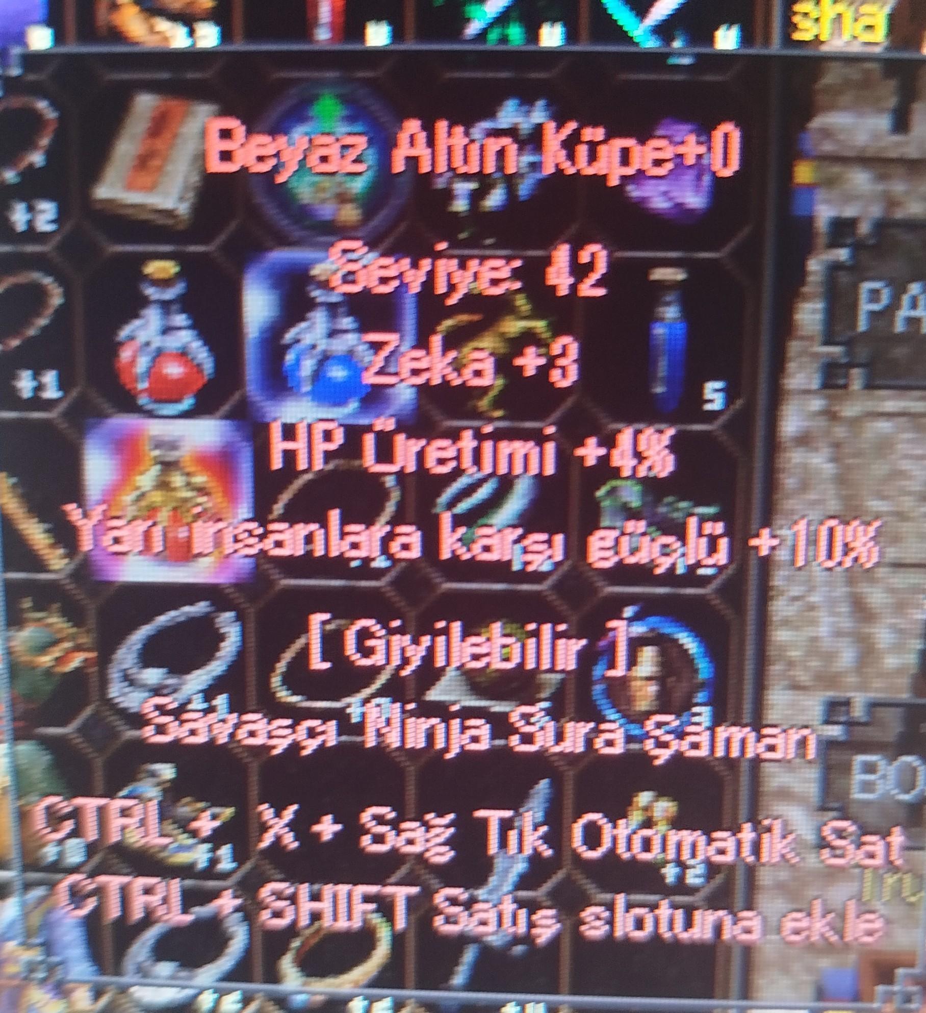 Beyaz altın küpe