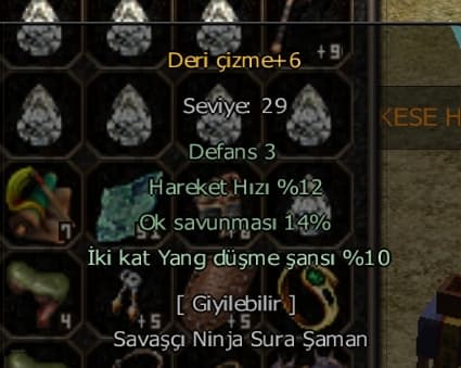 Deri çizme +6