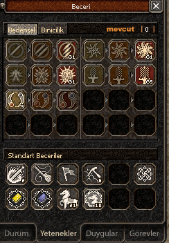 savaşçı karakter Lvl 70 Hava G5