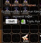 1333 adet kadim efsun