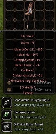 +8 Kin kılıcı