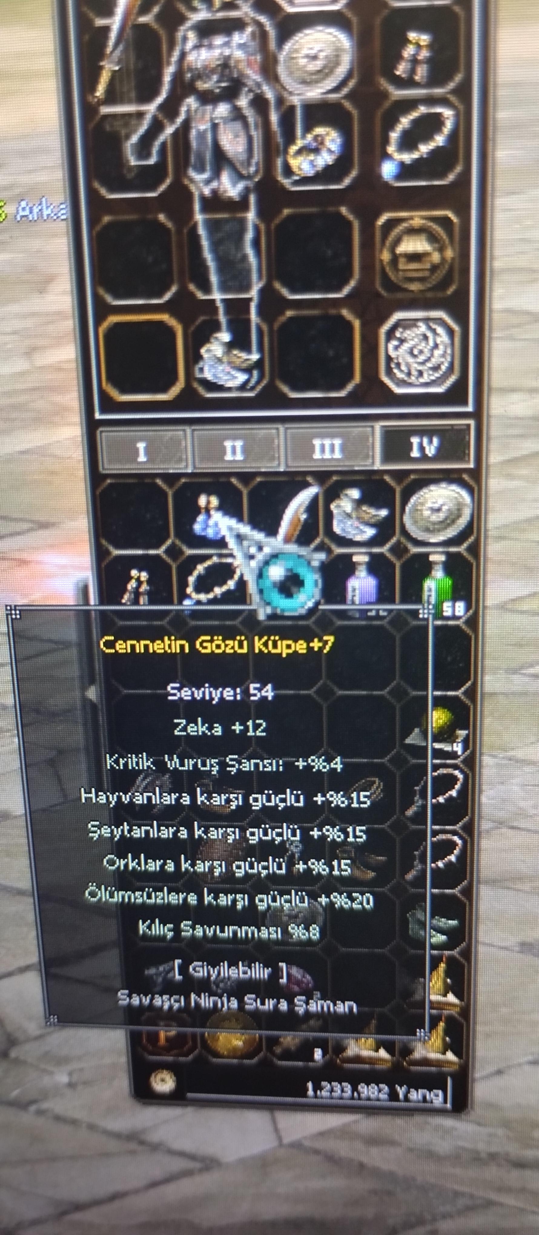 +7 cennet gözü küpe