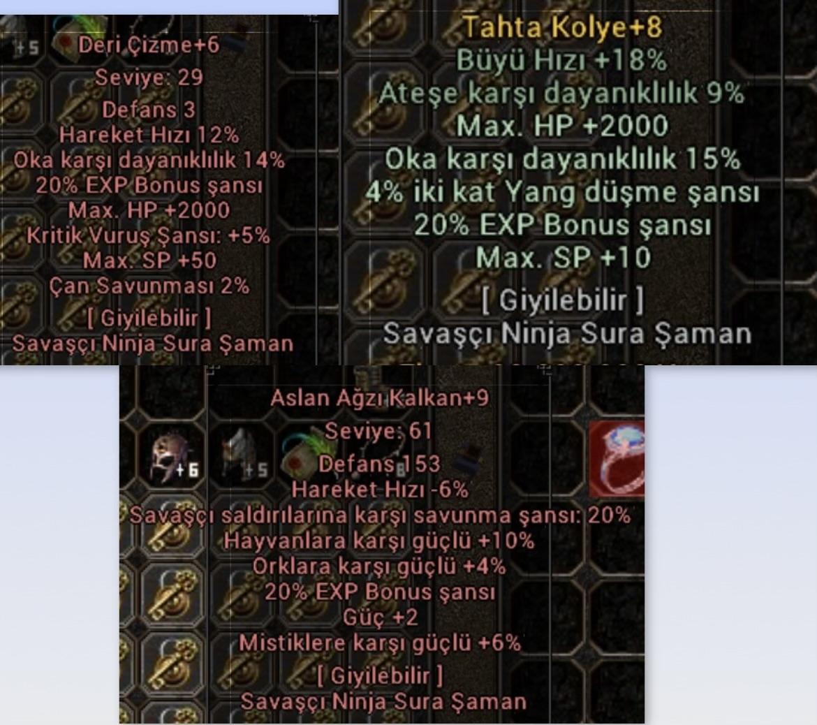 Elit exp takımı